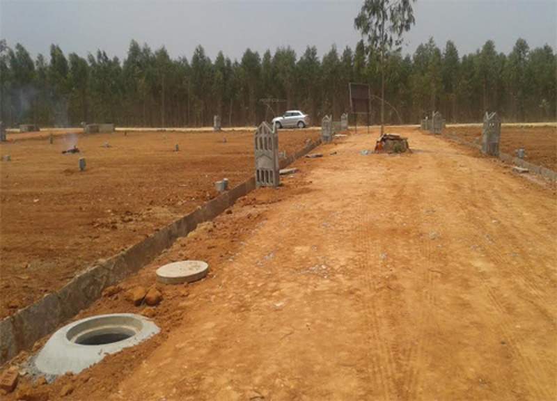  garden city Images for Main Other of Enrich Garden City