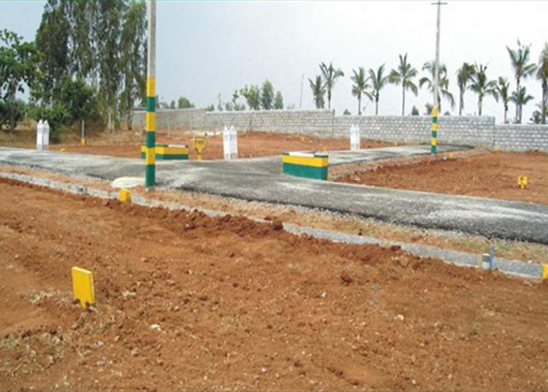  garden city Images for Main Other of Enrich Garden City