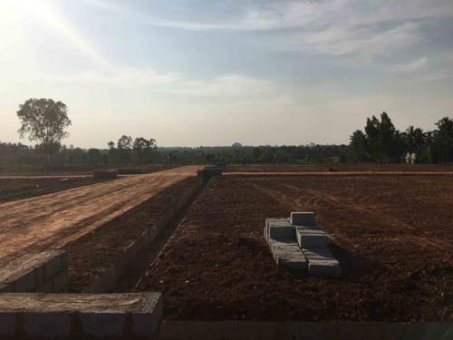  garden-city Images for Main Other of Enrich Garden City