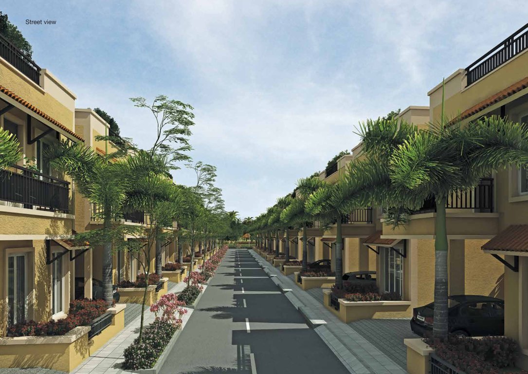  bloom Images for Elevation of Casagrand Bloom