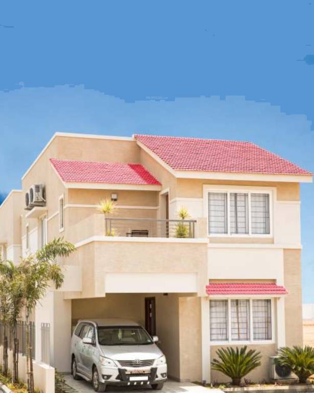 aqua villa Elevation