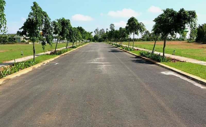  ozone kns oasis Elevation