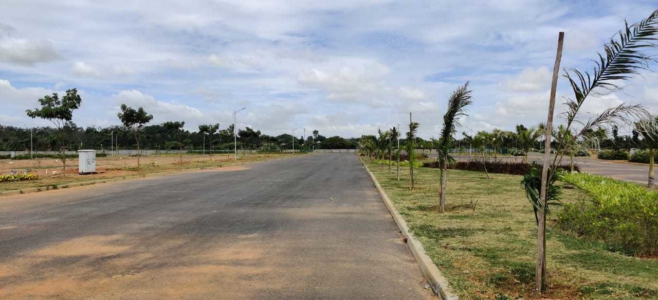  ozone kns oasis Elevation