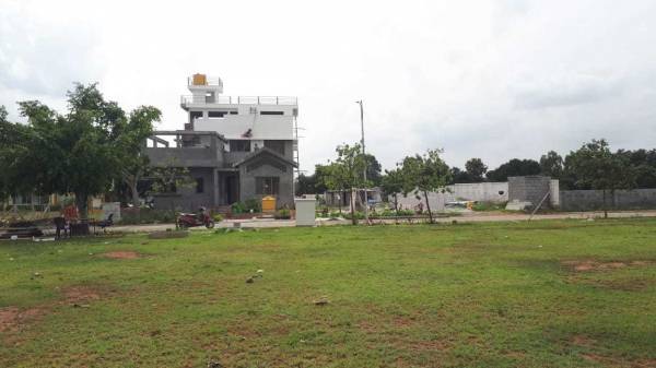  ozone-kns-oasis Elevation