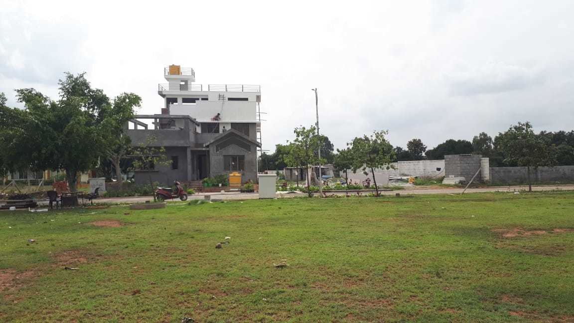  ozone kns oasis Elevation