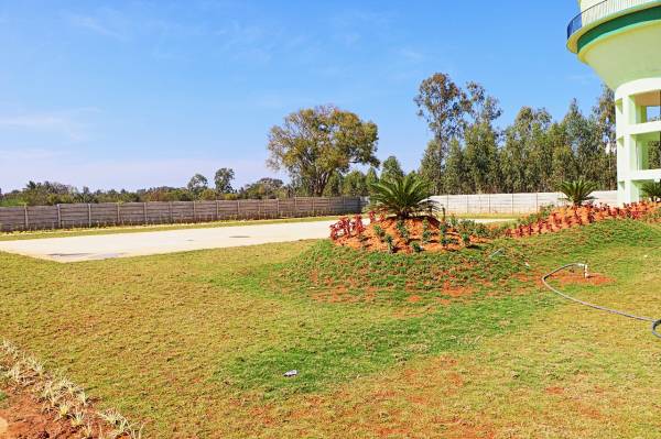  ozone-kns-oasis Elevation