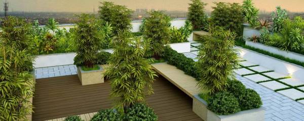 Images for Amenities of Salma Pine Ridge