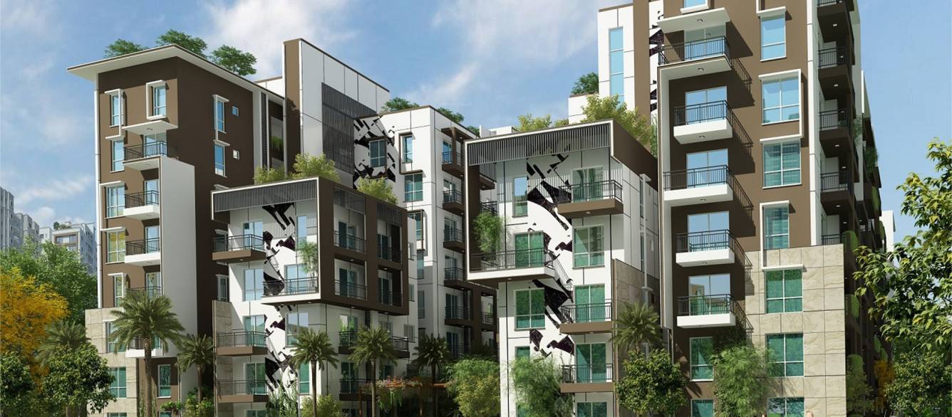 maple square a Images for Elevation of Estella Maple Square A