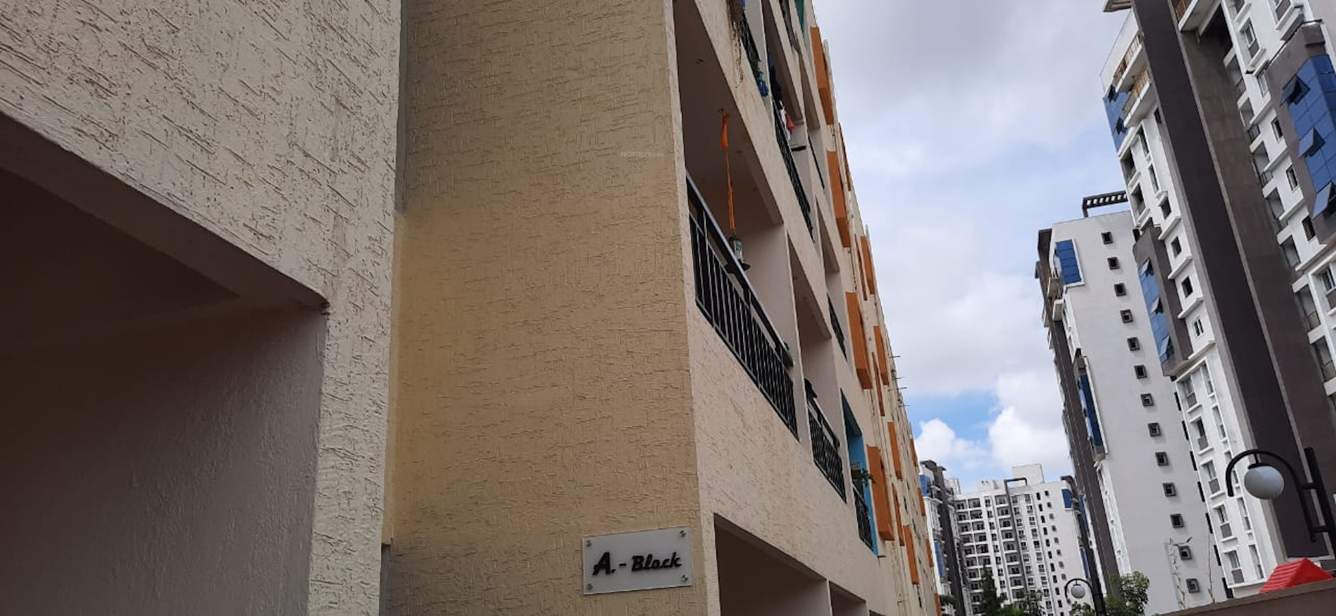  urban lotus Elevation