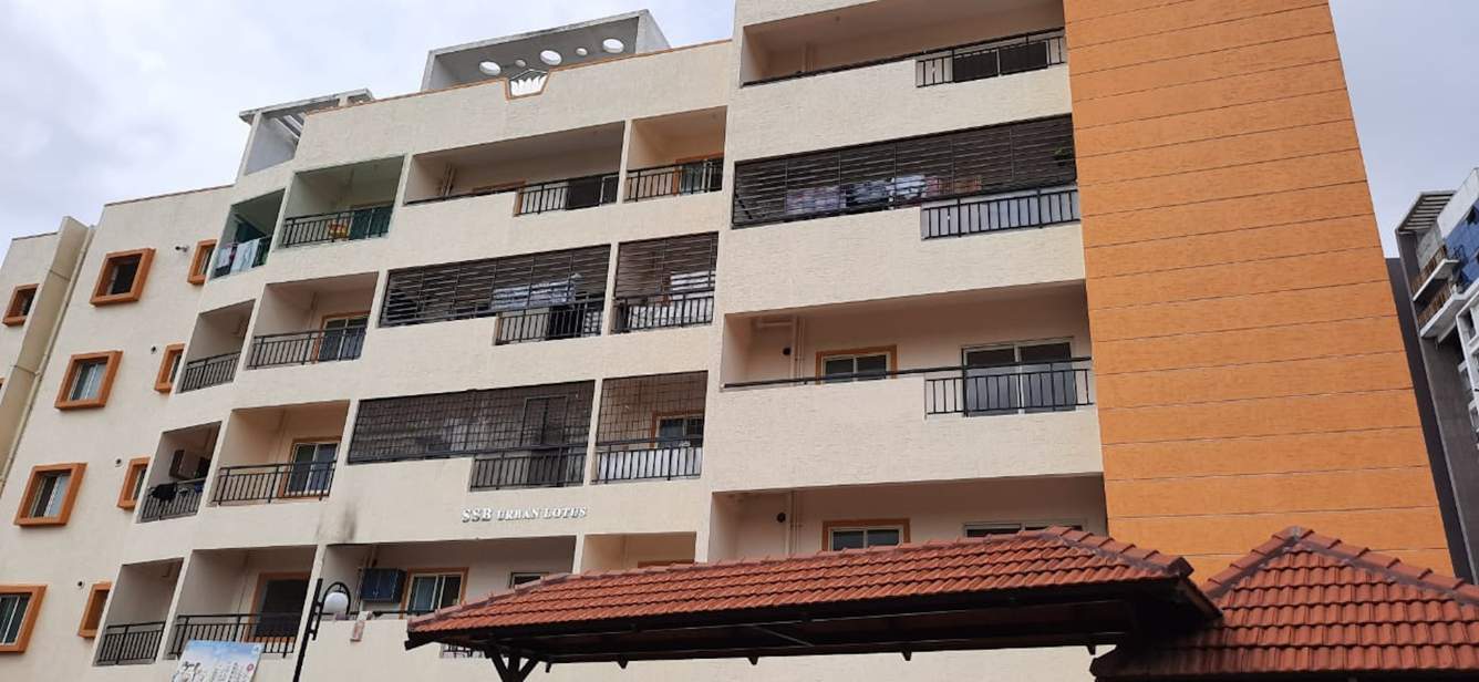  urban lotus Elevation