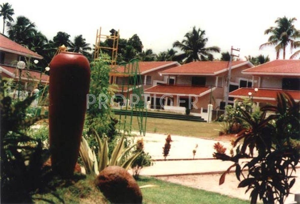 Images for Elevation of Skyline Spring Field