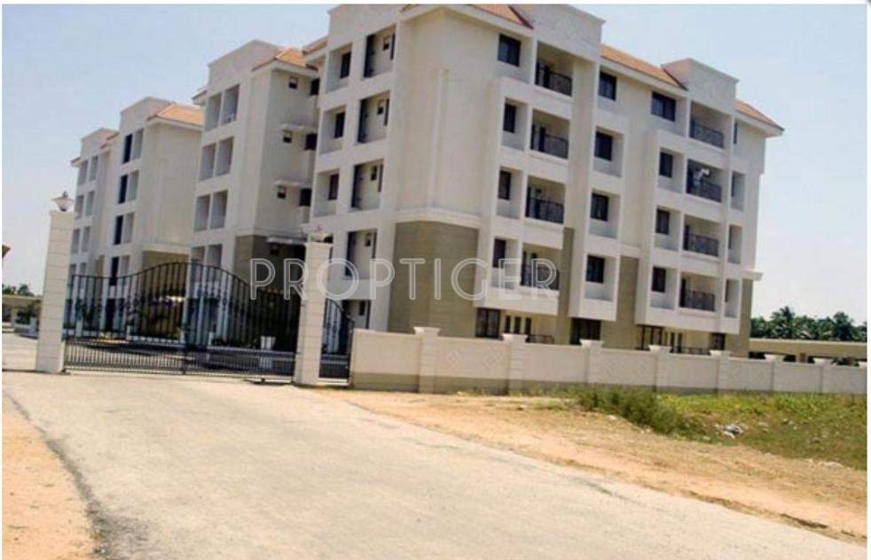 Images for Construction Status of Skyline Daffodils