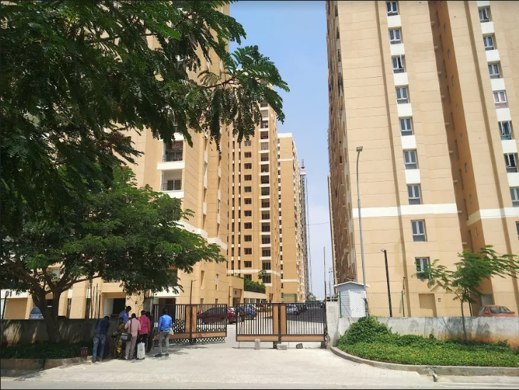  greens phase 2 Elevation