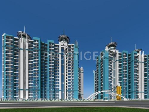 Images for Elevation of Gardenia Glory glory Images for Elevation of Gardenia Glory