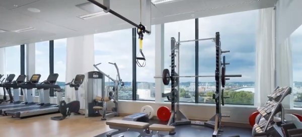  dynamic-crest Gymnasium