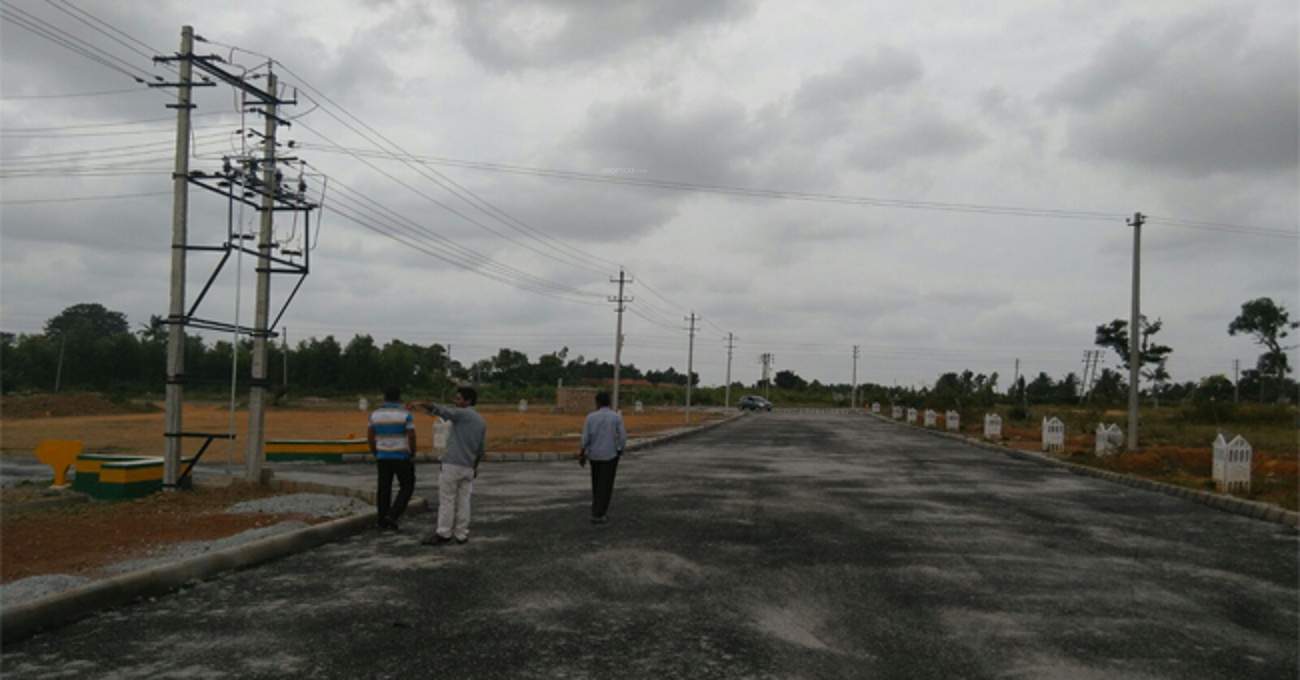 Images for Main Other of Nest Propertie Amba