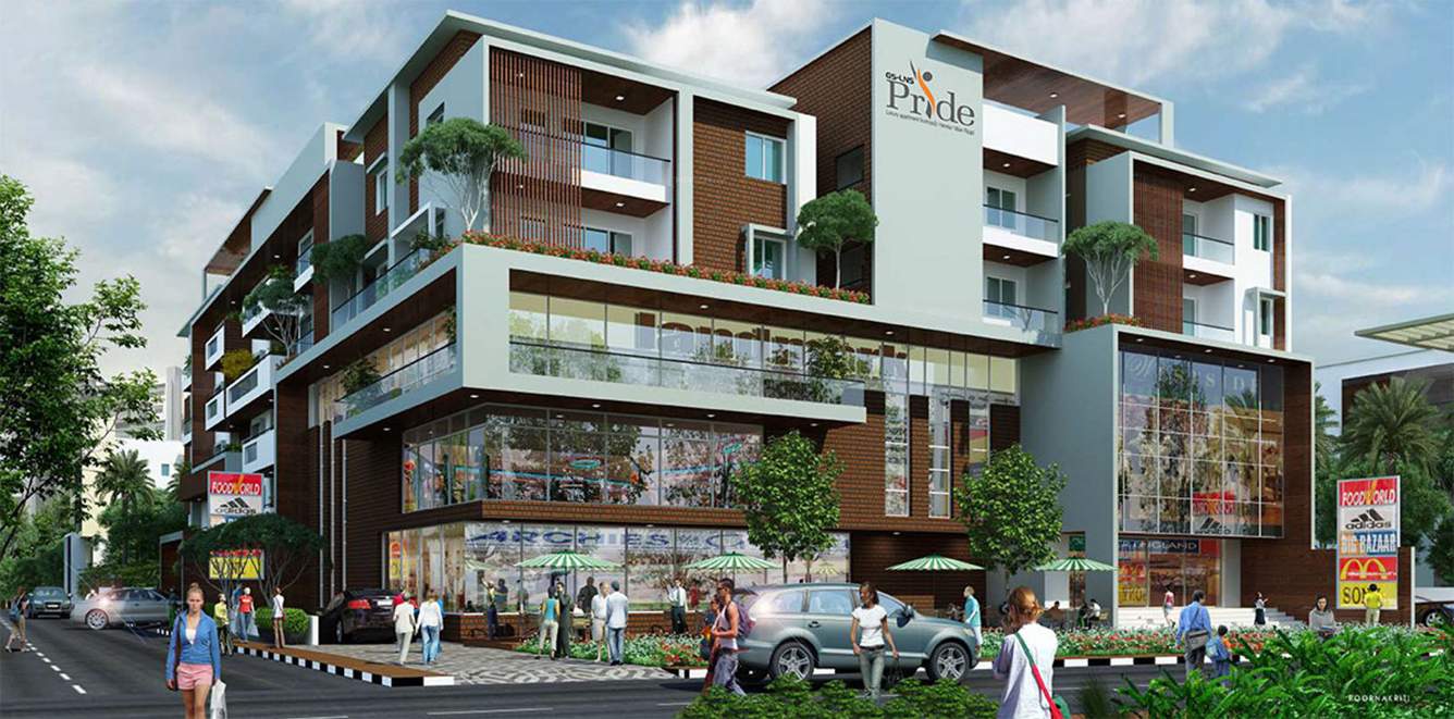 Images for Elevation of LNS Pride