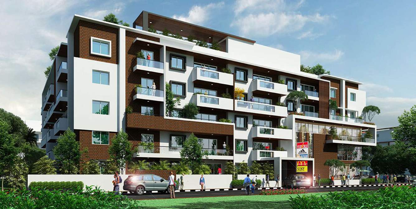 Images for Elevation of LNS Pride