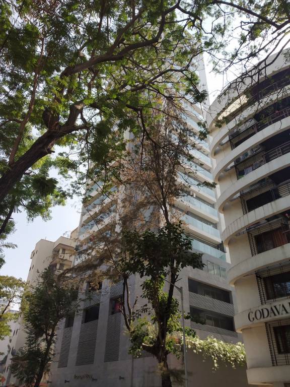  tranquil bay Images for Project