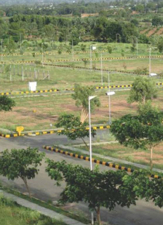 Images for Main Other of Pride Lake Town