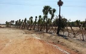  sindhuvanam Elevation