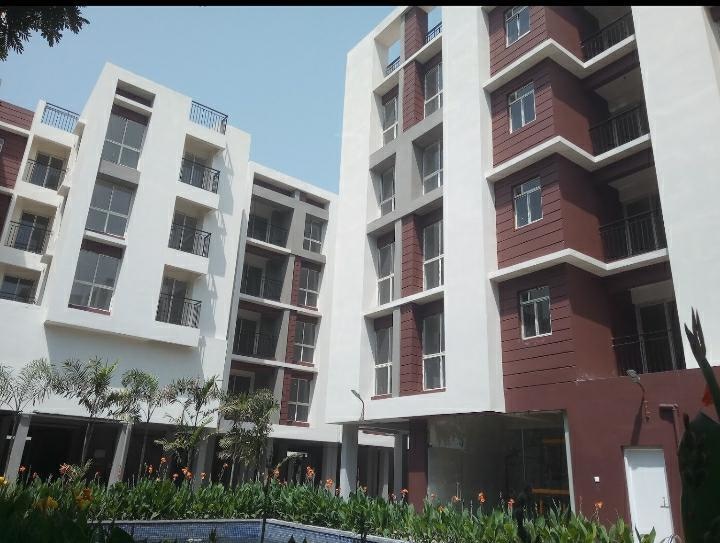 grand Images for Project