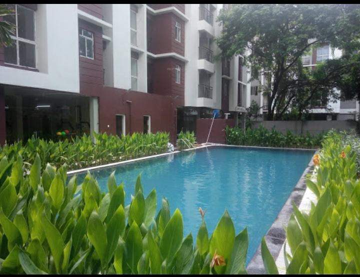 grand Images for amenities