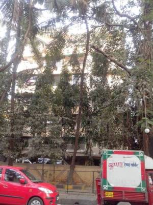 Images for Elevation of Reputed Builder Rajkamal Apartment