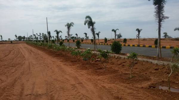 Images for Elevation of Avigna Fortune County