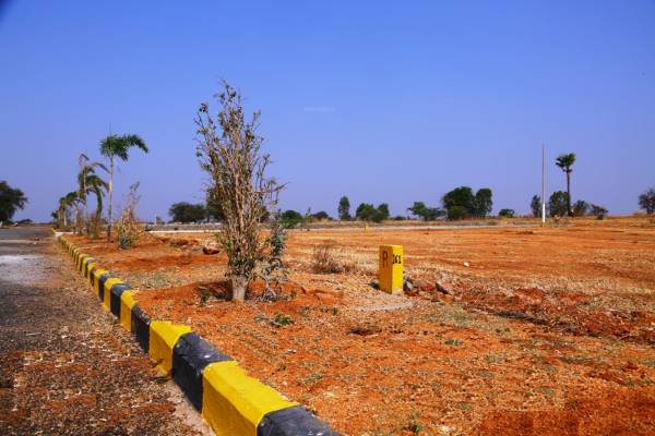 Images for Main Other of Avigna Fortune County