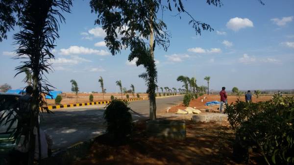 Images for Main Other of Avigna Fortune County