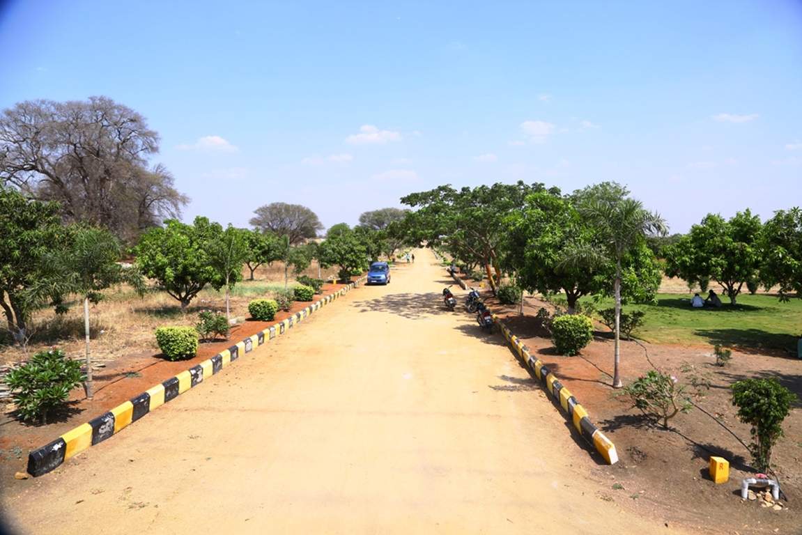Images for Main Other of Avigna Avigna