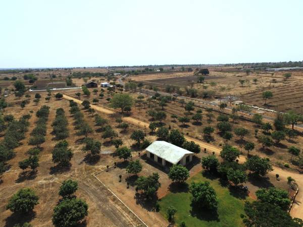 Images for Main Other of Avigna Avigna