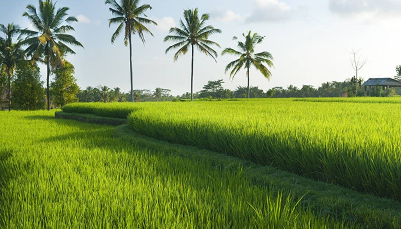 Images for Main Other of Adventz Zuari Park View