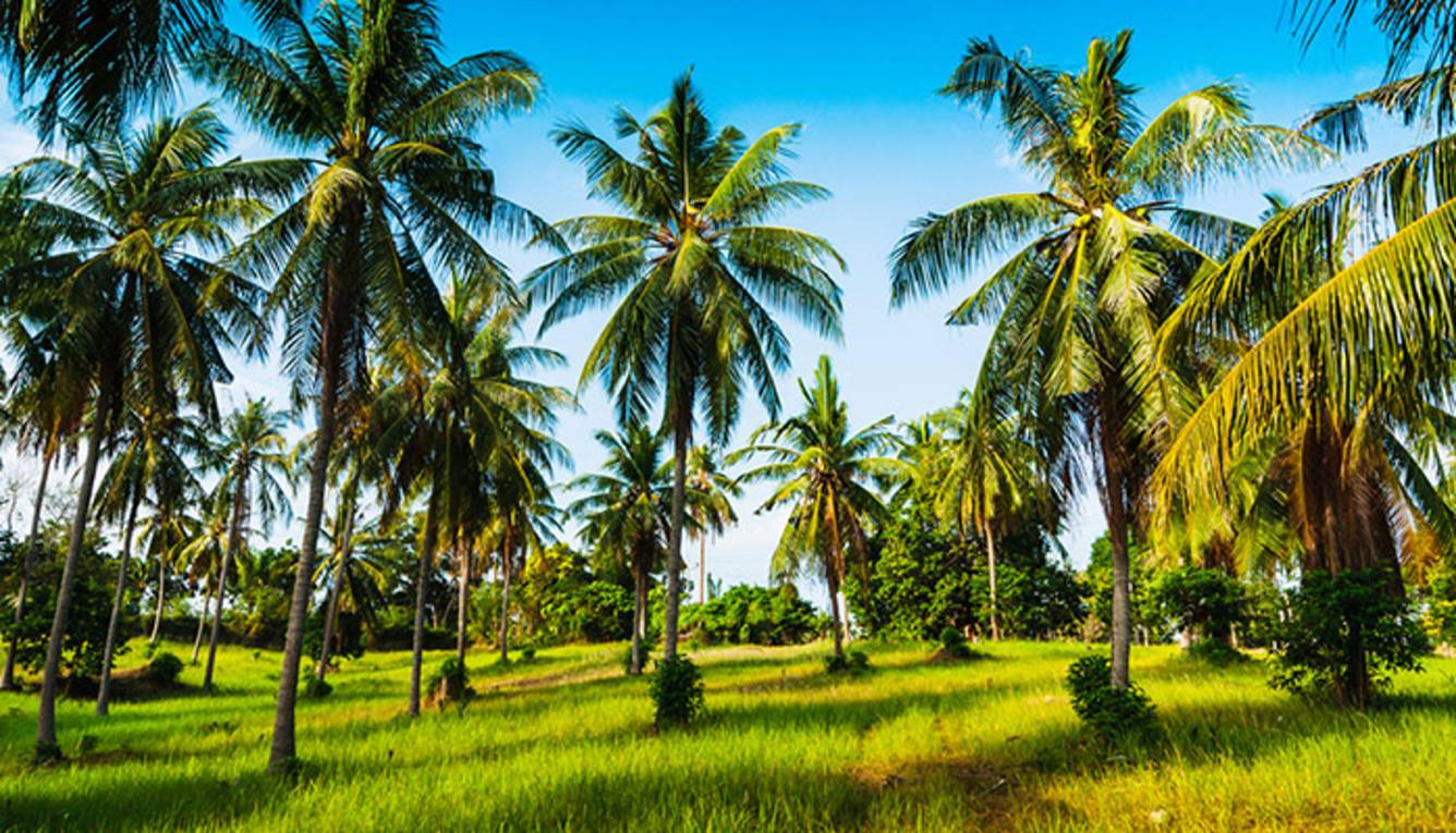 Images for Main Other of Adventz Zuari Park View