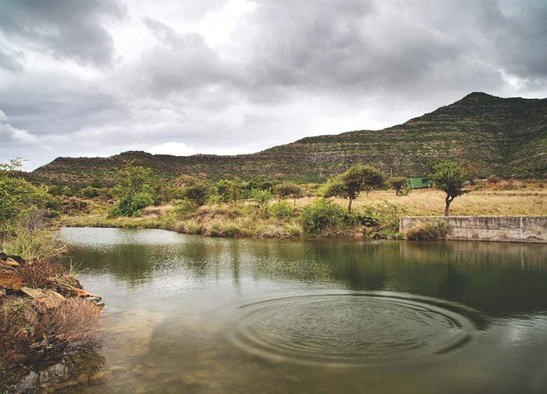 Images for Main Other of Pushkar Snehbhoomi