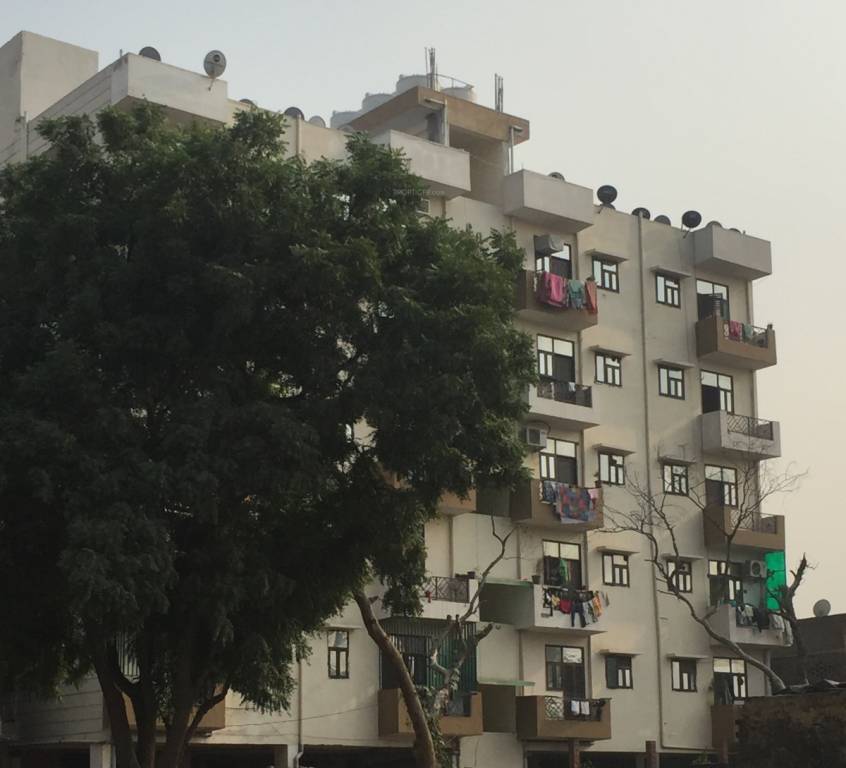 palm valley Images for Project