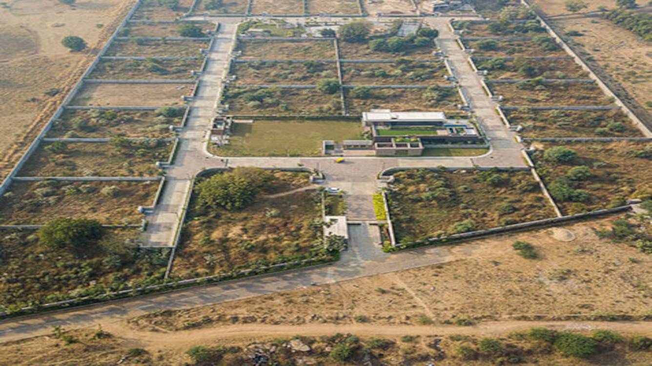 Elevation gold crest Elevation