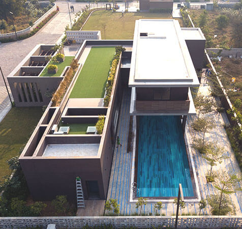 Others gold-crest Others