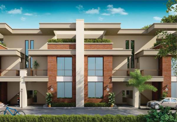 Elevation meadows Elevation