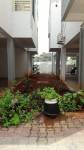 Others  malar-garden Others