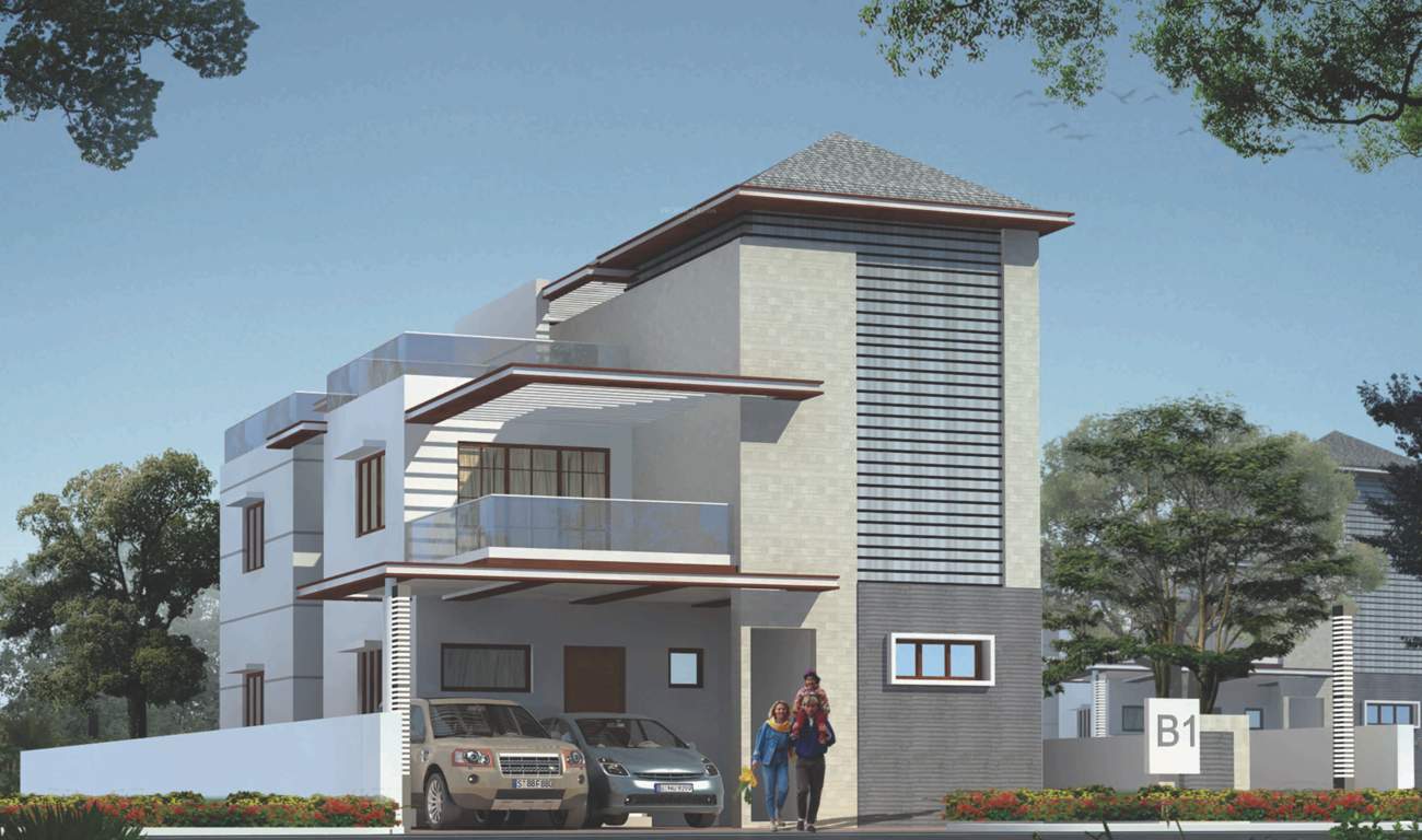  blooms Images for Elevation of Vedatraye Blooms