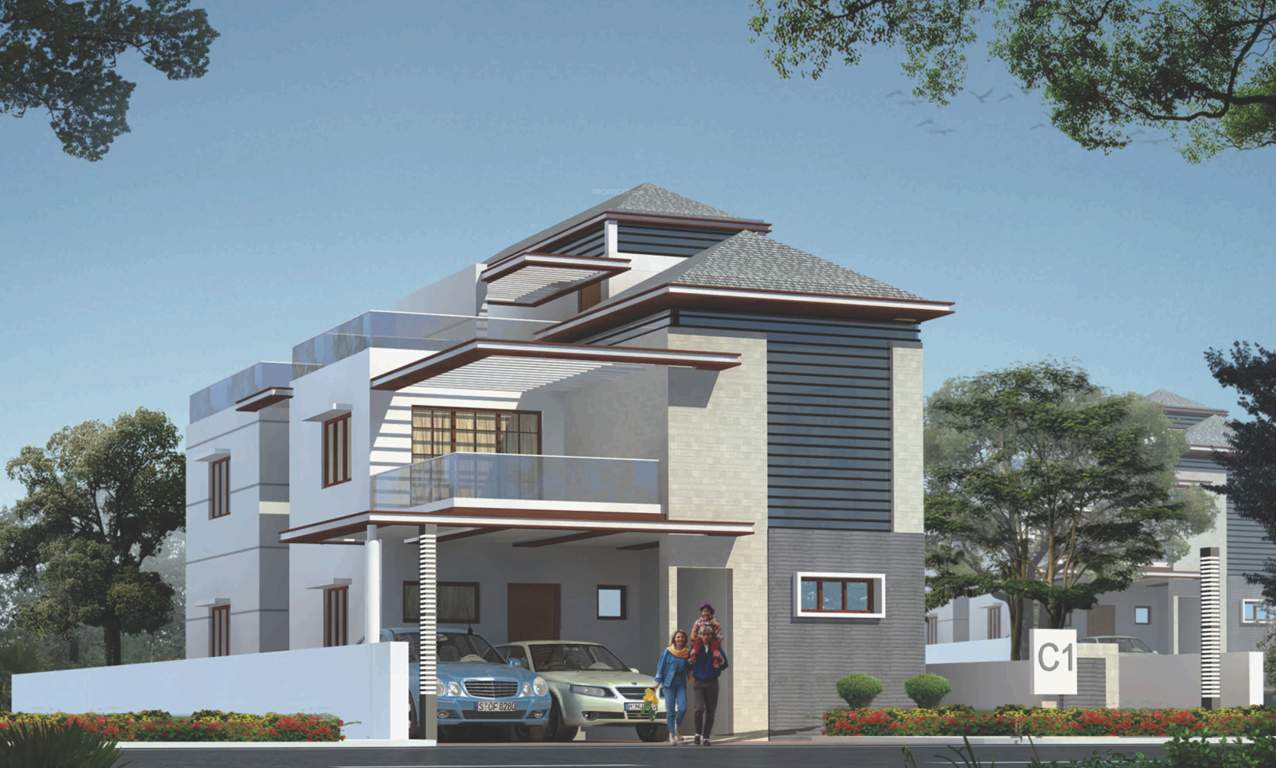  blooms Images for Elevation of Vedatraye Blooms