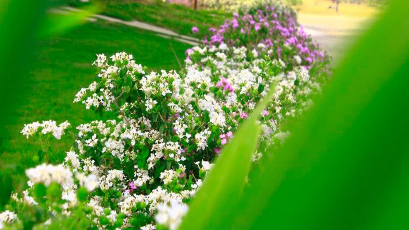 westend greens Images for Amenities of Lifestyle Westend Greens