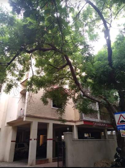  casablanca Elevation