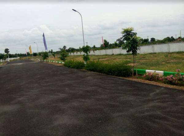 Internal Roads seasons Internal Roads