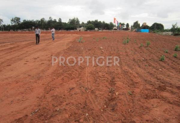 Images for Elevation of Tekton Delonix City Images for Elevation of Tekton Delonix City