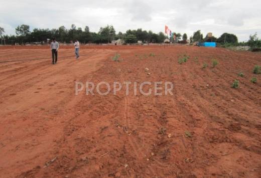 Images for Elevation of Tekton Delonix City Images for Elevation of Tekton Delonix City