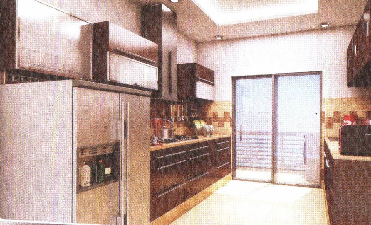 Images for Main Other of Span Trident