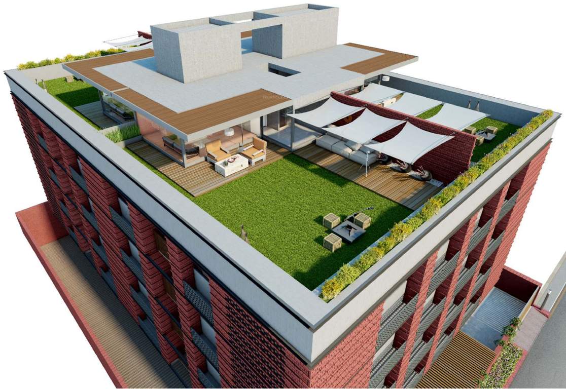 Images for Elevation of Olive Brick Home